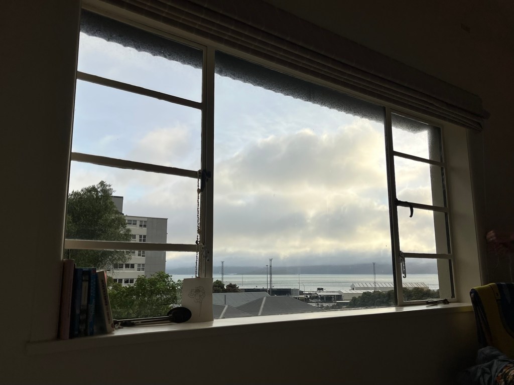 Last year, this&nbsp;year